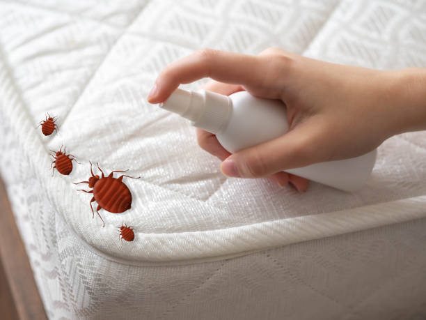 Best Emergency Pest Control  in Allardt, TN